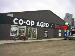 im000923.jpg